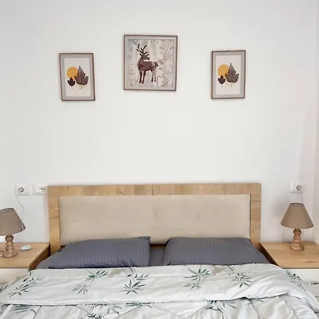 Urban Escape By Adriatic Living * Durrës